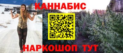сатива Лесосибирск