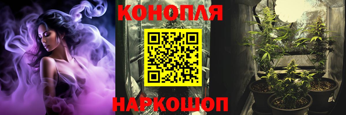 Бошки Шишки семена Богданович